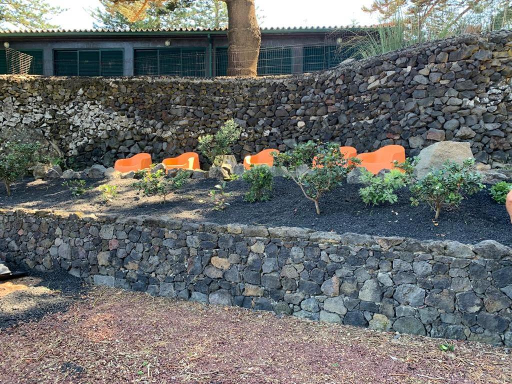 Palácio - Exclusive Villa, Caloura Água de Pau Exterior foto